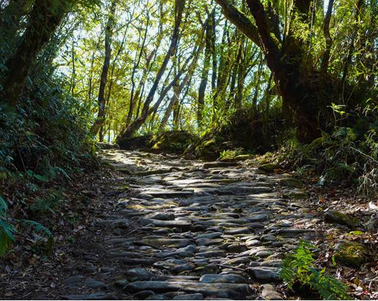 1706680732722073.png 19603de1-f708-4d53-8ec3-cbb8d7f001ec.png